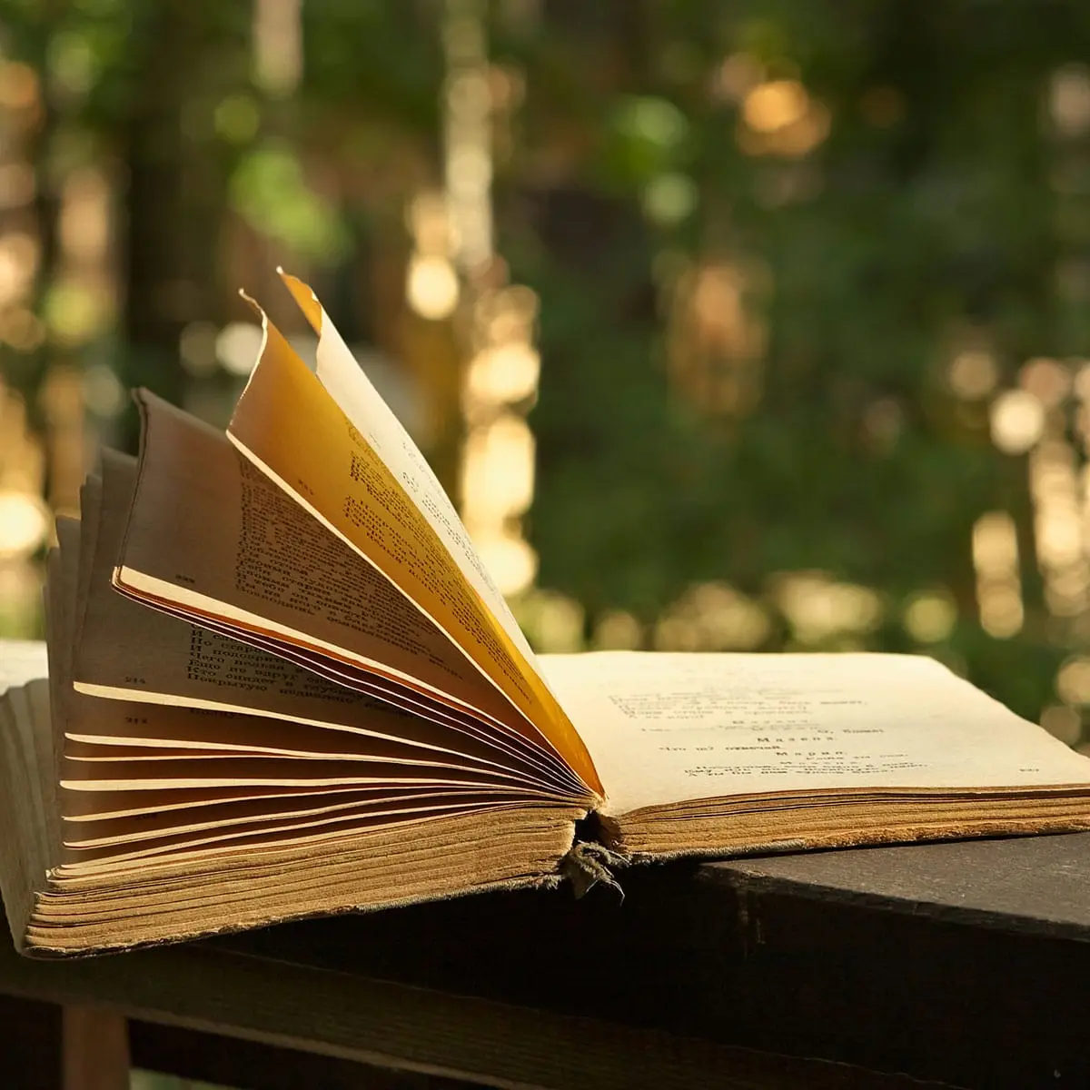 World Poetry Day 2023: the history and traditions of the holiday