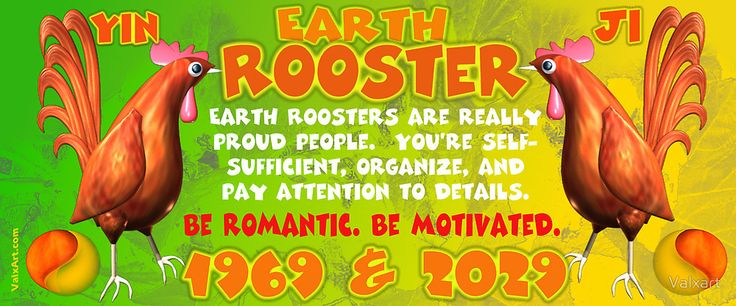 Yellow Earth Rooster &#8211; a symbol of 2029