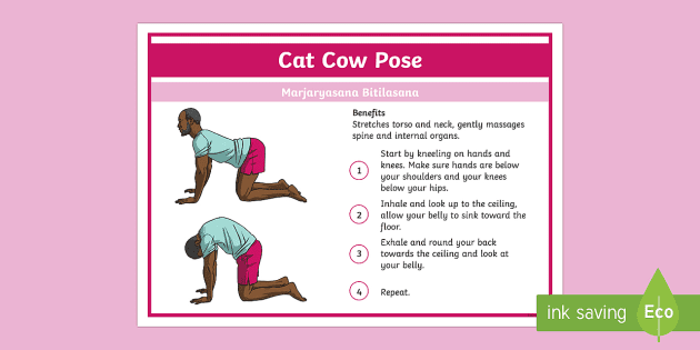 pose kucing yoga