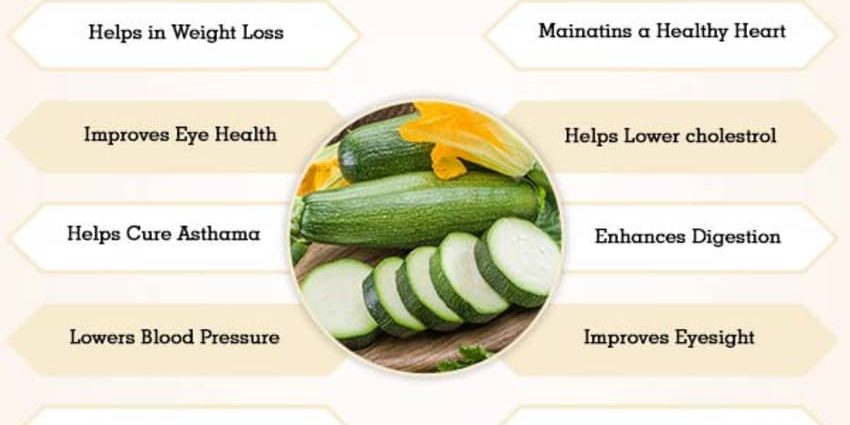 Zucchini: health benefits and harms