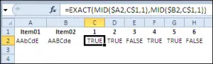 30 Excel Functions in 30 Days: Day One - EXACT