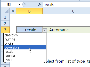 30 Excel functions in 30 days: INFO