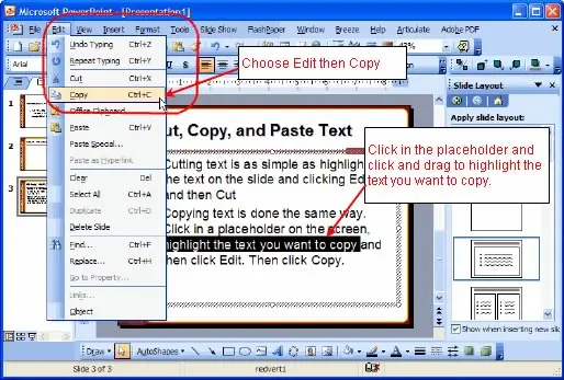 Copying and moving text in Word