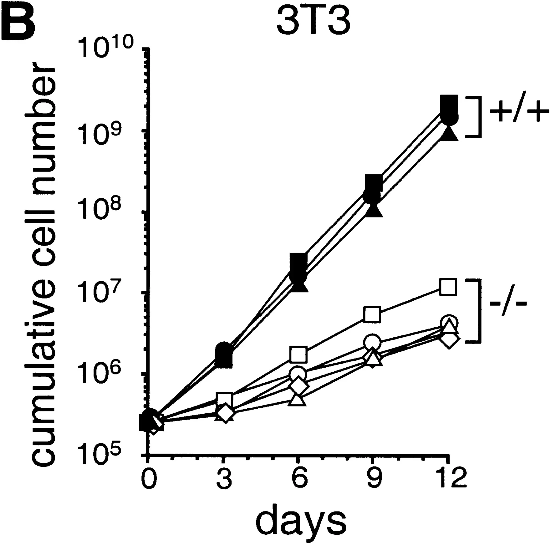 Cumulative cell (cumulative)