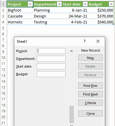 Data Form in Excel