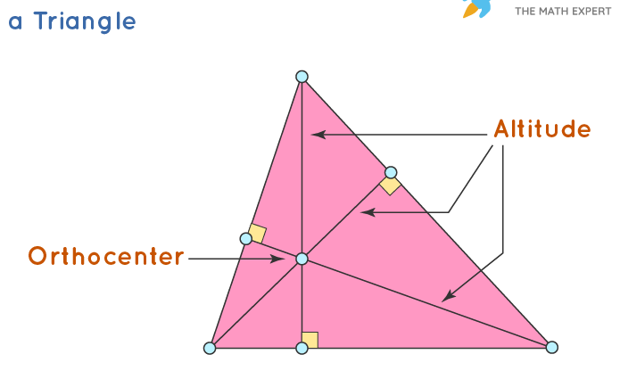 Definition and properties of the height of a triangle