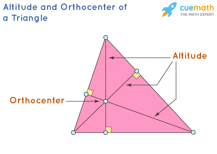 Definition and properties of the height of a triangle