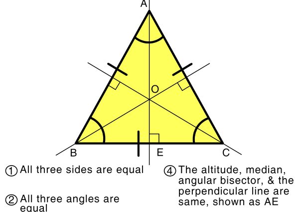 Definition and properties of the median of an equilateral triangle