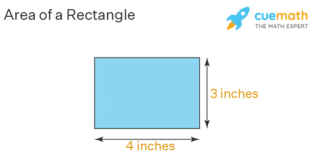 Finding the Area of ​​a Rectangle: Formula and Example