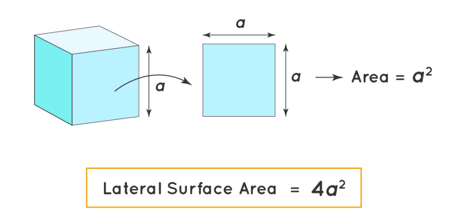 Finding the surface area of ​​a cube: formula and tasks