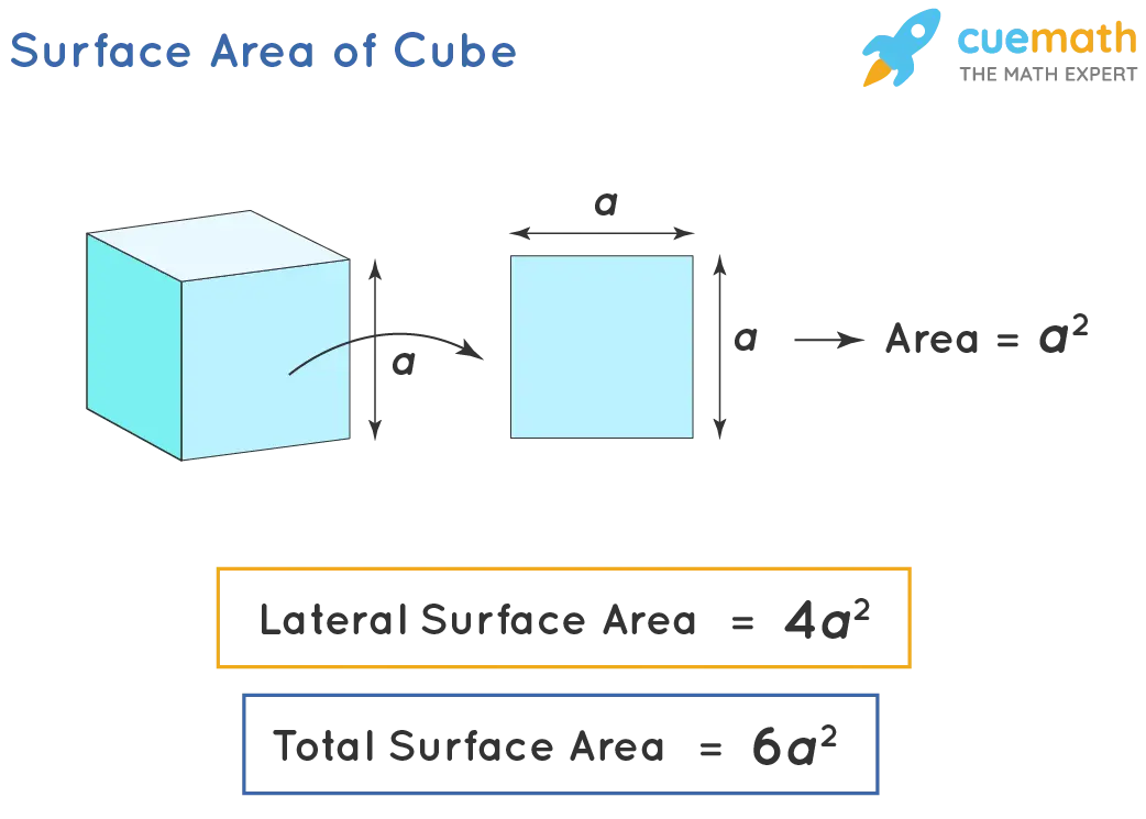 Finding the surface area of ​​a cube: formula and tasks