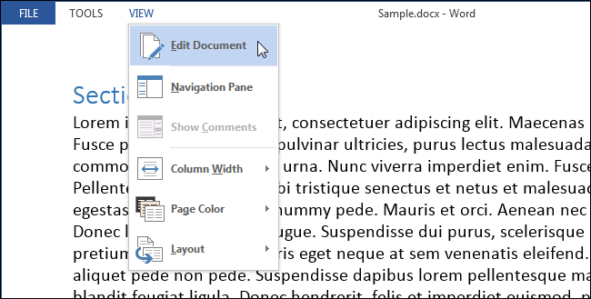 How to create a read-only document in Word that can be opened without a password