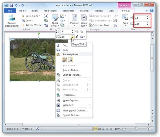 How to crop pictures in Word, Excel and PowerPoint 2010