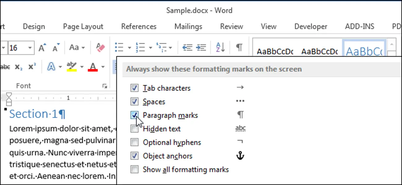 How to display non-printable characters in Word