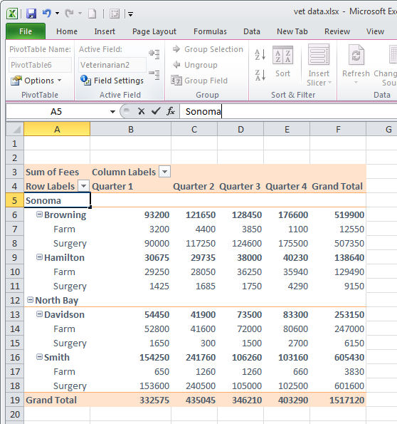 How to group data in an Excel PivotTable for further generalization and analysis