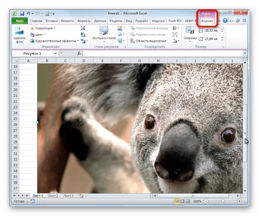 How to insert a picture into an excel spreadsheet. Inserting and adjusting an image in Excel