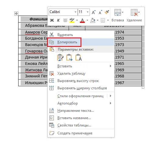 How to insert a table into an Excel cell