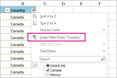 How to remove a filter in Excel