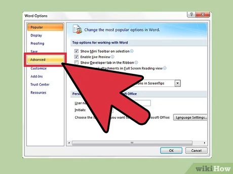 How to remove items from the Recent Documents list in Office applications