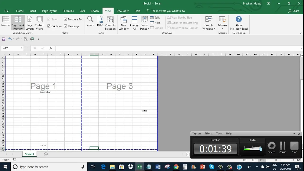 How to remove the inscription &#8220;Page 1&#8221; in Excel