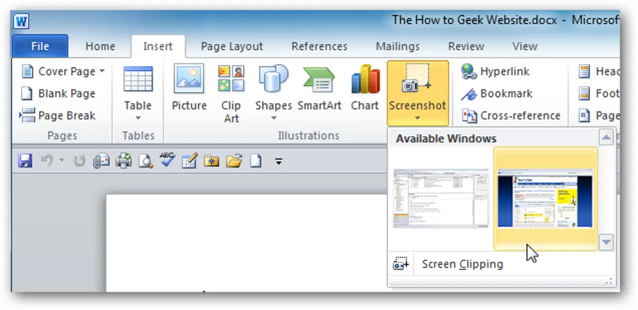How to take screenshots in Word 2010?