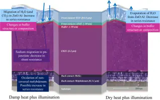 Illumination of unprotected cells