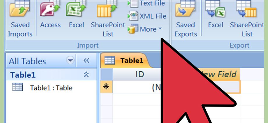 นำเข้าข้อมูลจาก Access ไปยัง Excel