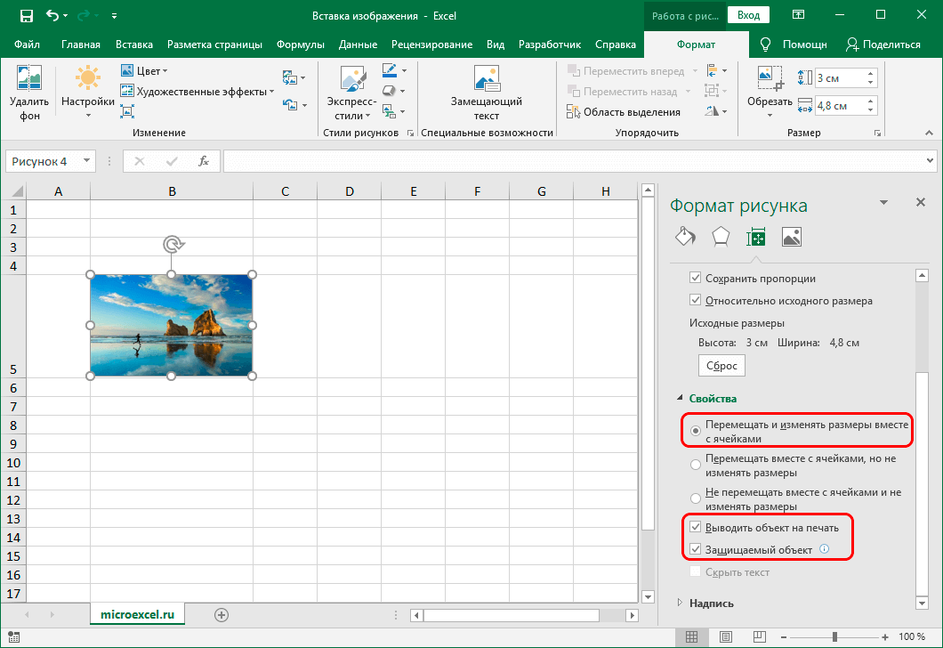 Inserting and Adjusting an Image in Excel