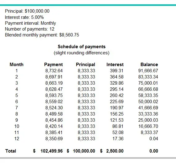 Interest payments