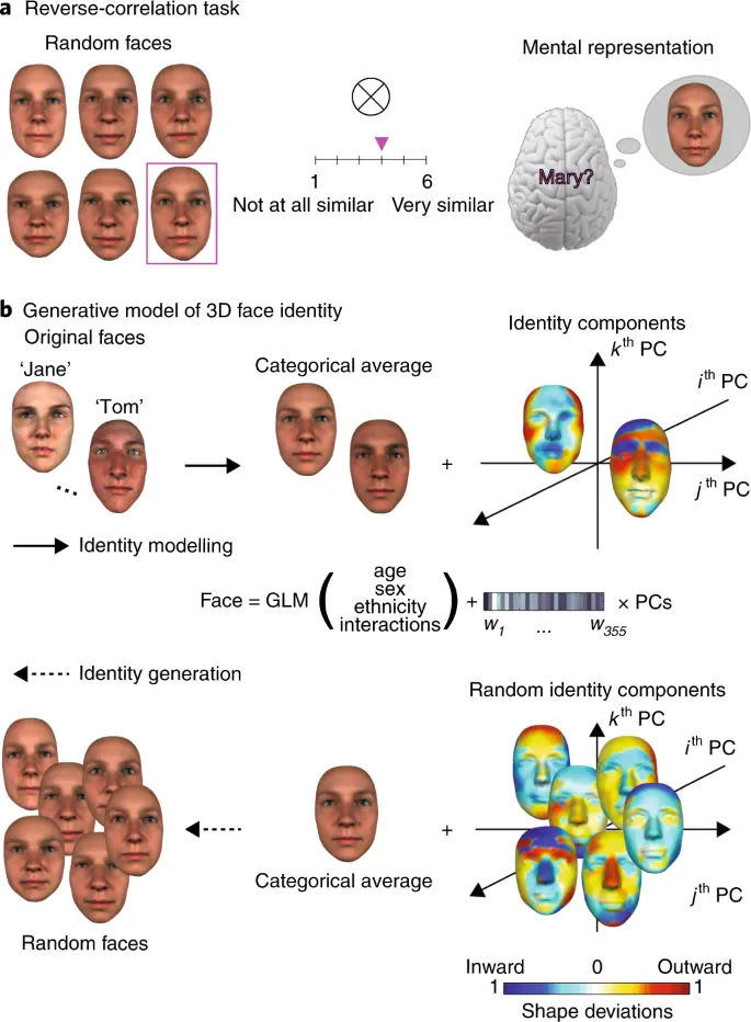 Many Faced Representations