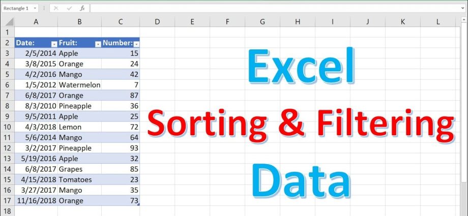 Microsoft Excel: Sorting and Filtering Data