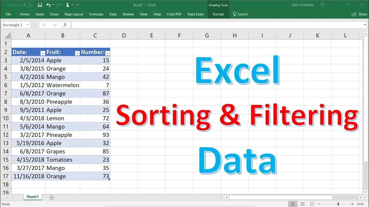 Microsoft Excel: Sorting and Filtering Data