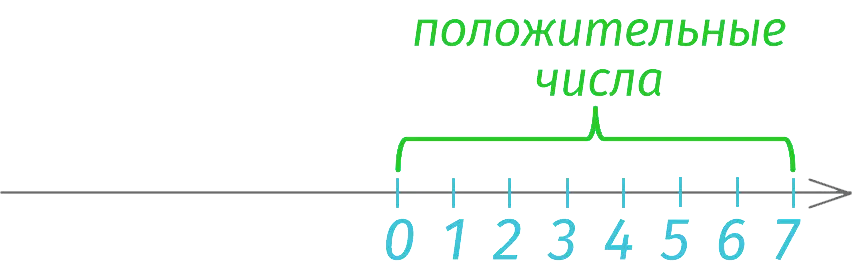 Positive and negative numbers