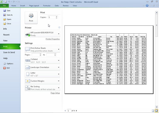 Microsoft Excel-də çap paneli