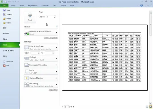 Print panel in Microsoft Excel