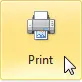 Print to Excel