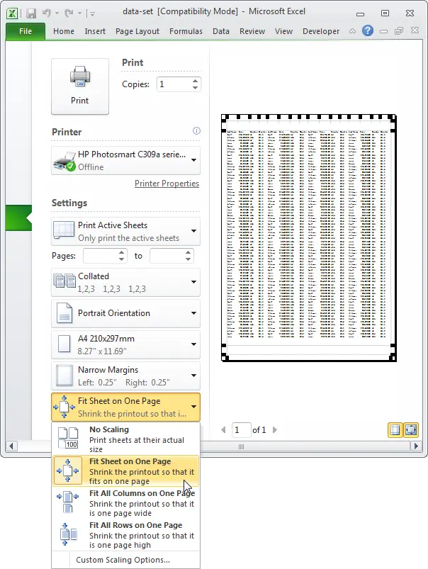 Print to Excel