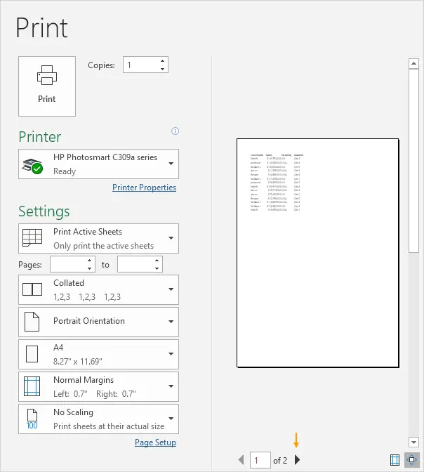 Print to Excel