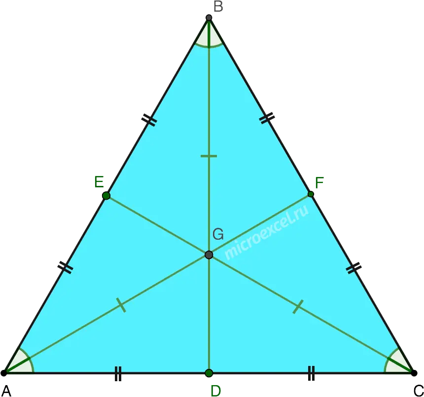 Properties of the bisector of an equilateral triangle