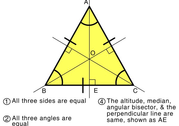 Properties of the bisector of an equilateral triangle