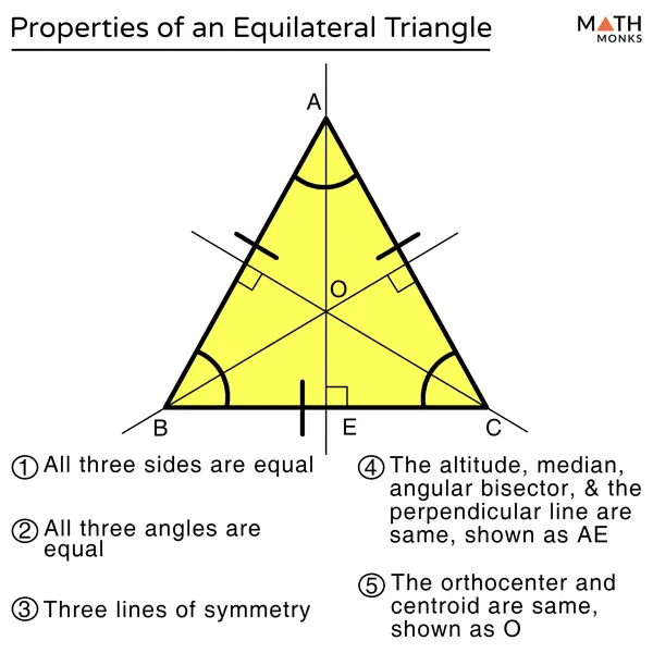 Properties of the bisector of an equilateral triangle