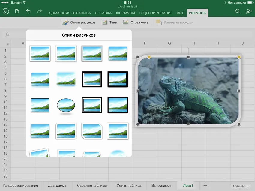 Review and test Excel for iPad