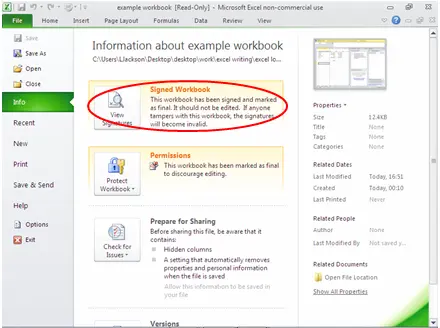 Security settings in Microsoft Excel