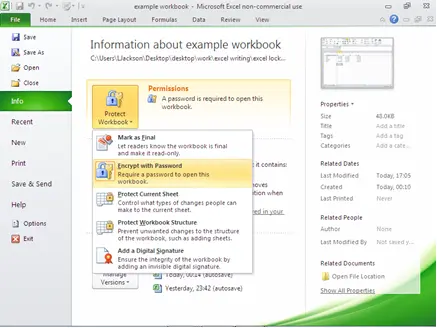 Security settings in Microsoft Excel