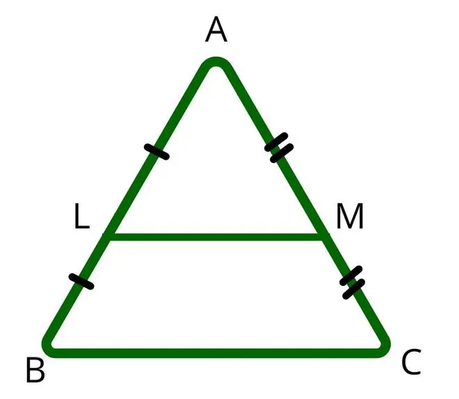 Thales&#8217; theorem: formulation and example of solving the problem