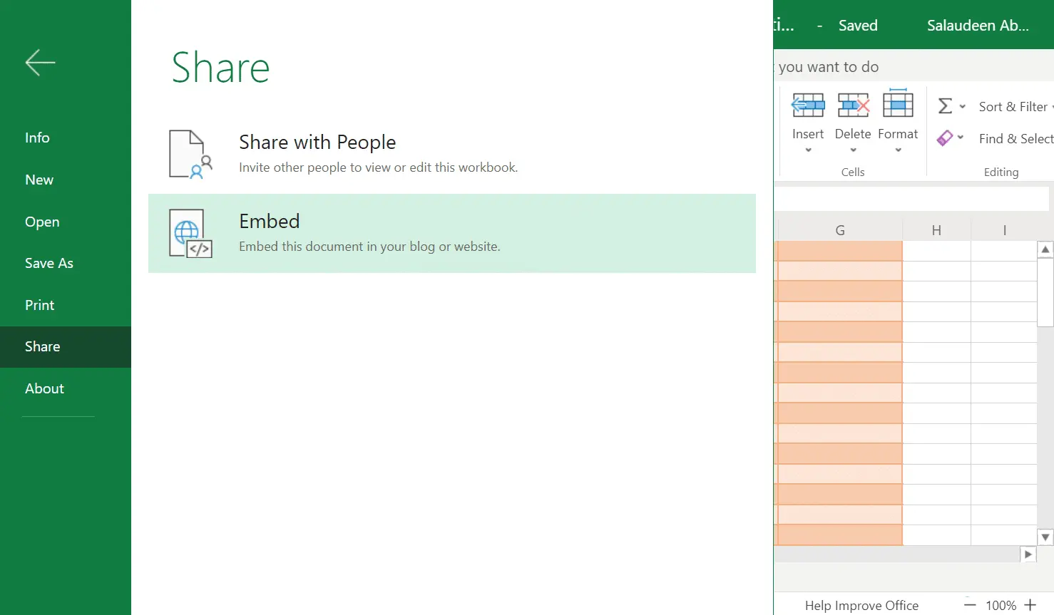 We send Excel sheets to the Internet, share them, paste them into a web page and make them interactive