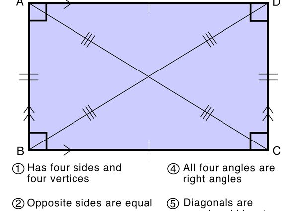 Diagonal del rectangulo