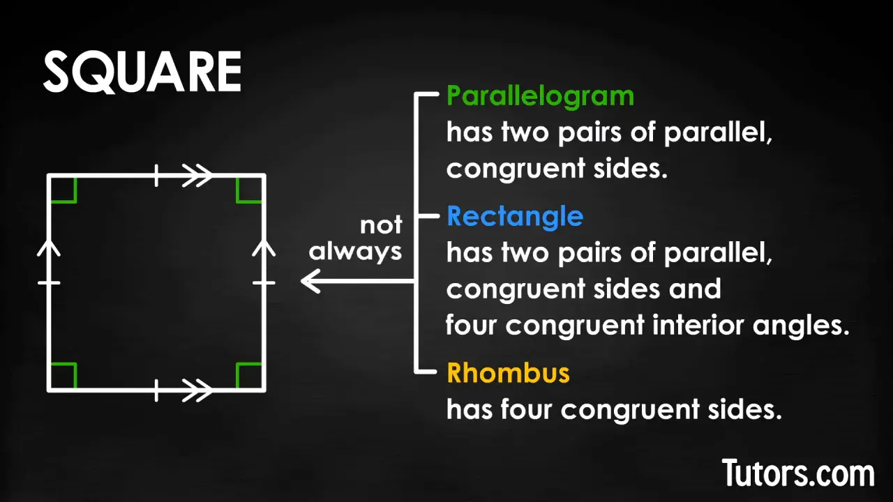 What is a square: definition and properties