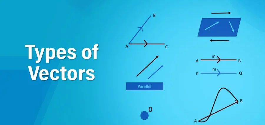 What is a vector: definition, designation, types