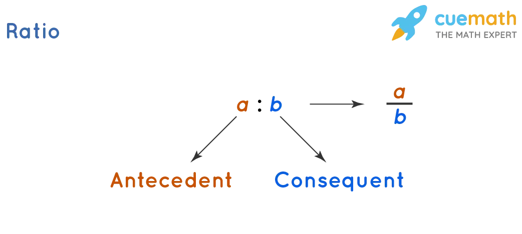 What is proportion: definition, elements, main property